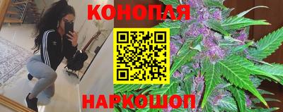 стаф Вязники
