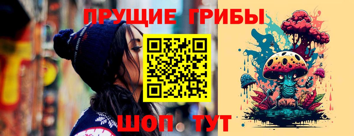 Псилоцибиновые грибы Psilocybine cubensis  Вход с VPN  Артём 