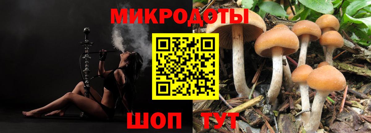 Галлюциногенные грибы MAGIC MUSHROOMS Артём